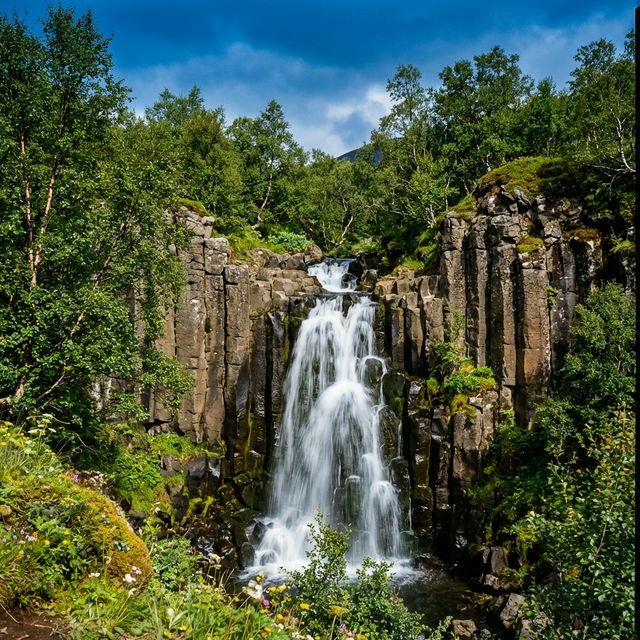 Svartifoss Waterfall cascading over hexagonal basalt columns in Skaftafell